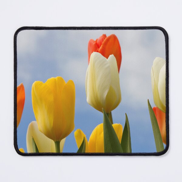 Item preview, Tulips (Tulipa) designed and sold by cloud7.