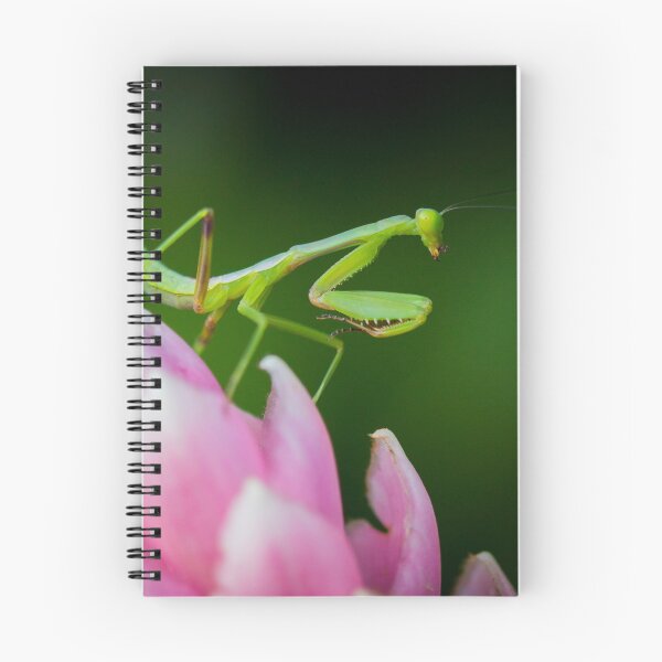 Item preview, Mantis designed and sold by AnnaKT.