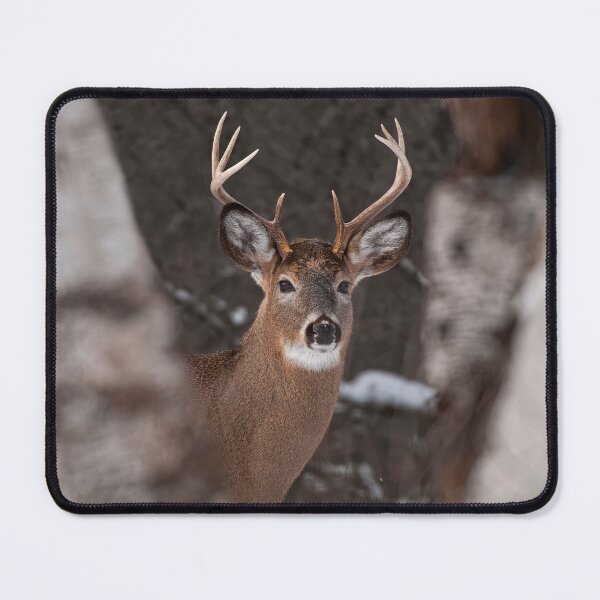 Item preview, White-Tailed Deer designed and sold by Michael Cummings.