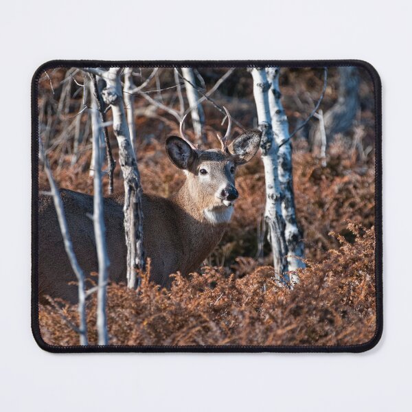 Item preview, White-tailed Deer designed and sold by Michael Cummings.