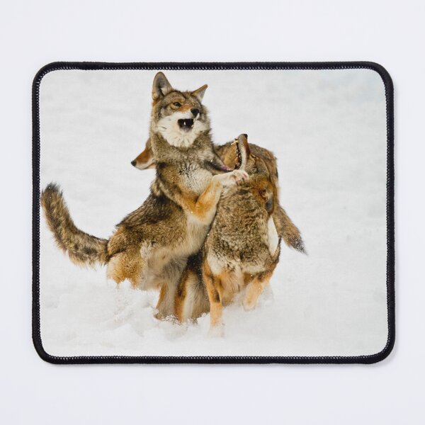 Item preview, Coyotes Playing 2 designed and sold by Michael Cummings.
