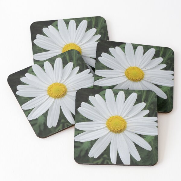Item preview, Daisy designed and sold by LizEllisPhotos.