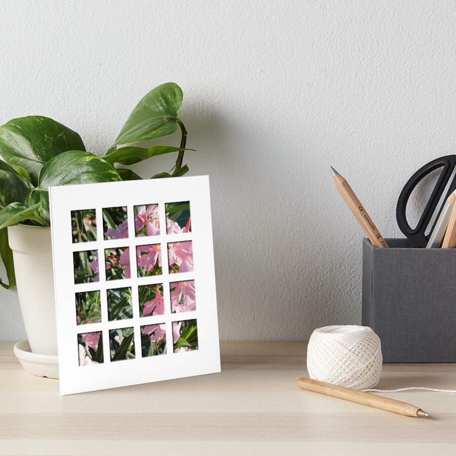 Oleander Galeriedruck