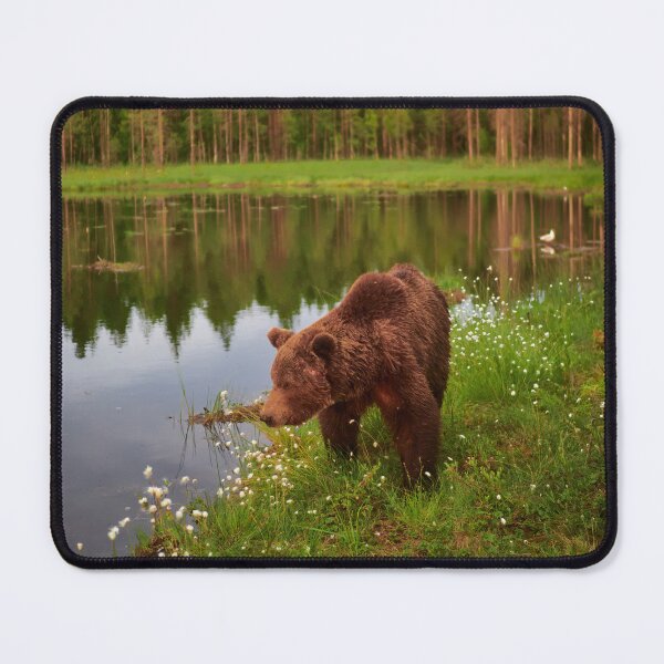 Item preview, Immortal thouhgts. Brown bear designed and sold by Jouko Lehto Photography.