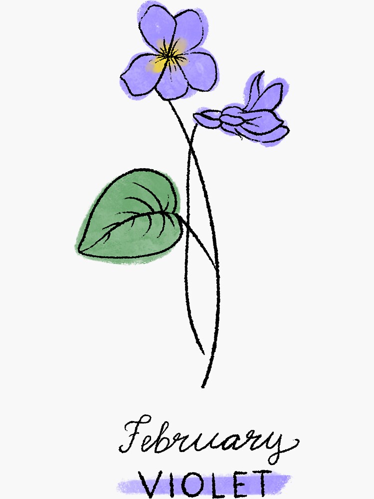 Birth Month Flower  February Violet Sticker for Sale by Megan Sundquist   Redbubble