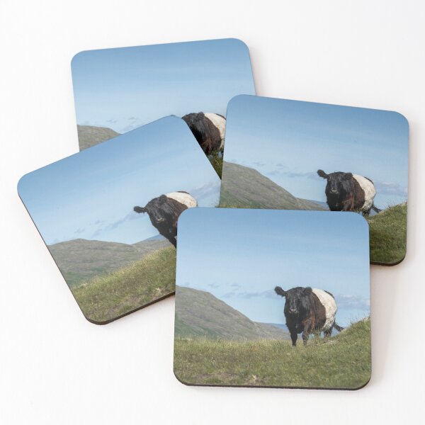 Item preview, Belted Galloway Cow on the Cumbrian Fells designed and sold by Jane Stanley Photography.