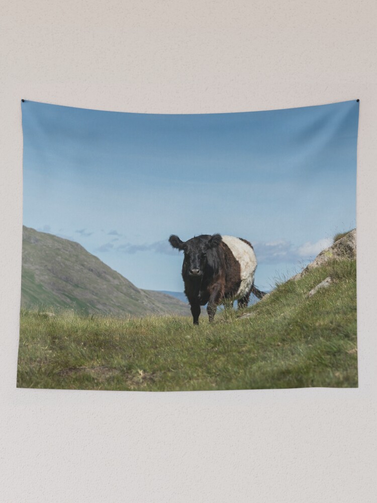 Raspberry Cow Photographic Print for Sale by Jane Stanley