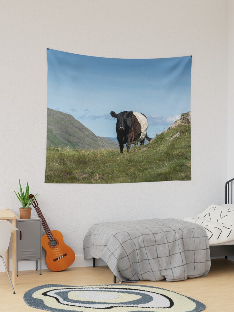 Raspberry Cow Photographic Print for Sale by Jane Stanley