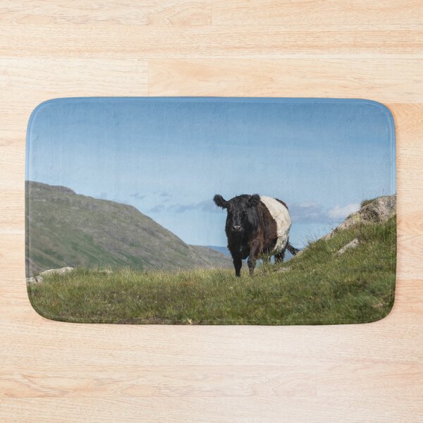 Item preview, Belted Galloway Cow on the Cumbrian Fells designed and sold by Jane Stanley Photography.