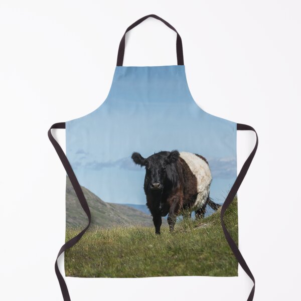 Item preview, Belted Galloway Cow on the Cumbrian Fells designed and sold by Jane Stanley Photography.