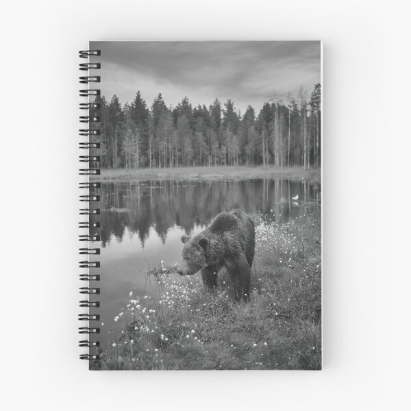 Item preview, Immortal thoughts. Brown bear bw designed and sold by Jouko Lehto Photography.