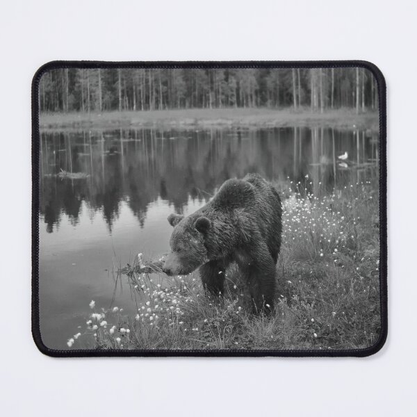 Item preview, Immortal thoughts. Brown bear bw designed and sold by Jouko Lehto Photography.