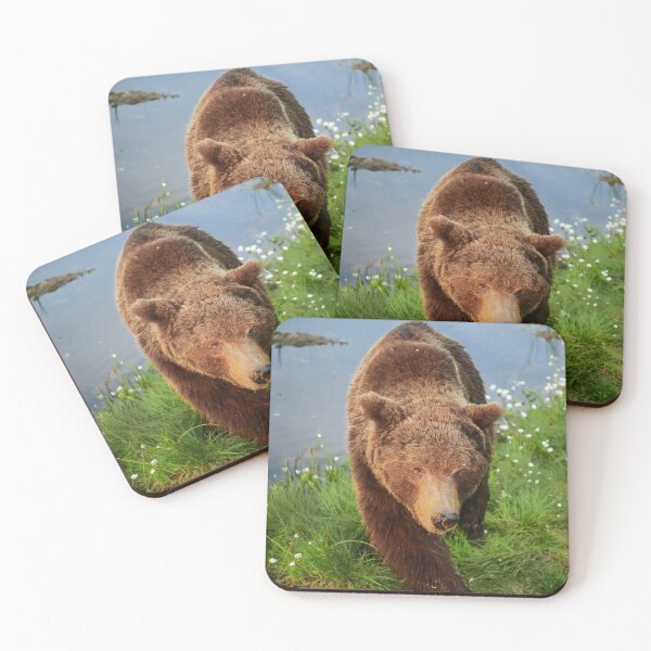 Item preview, Getting closer and closer. Brown bear designed and sold by Jouko Lehto Photography.