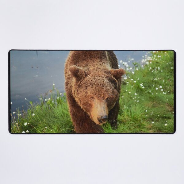 Item preview, Getting closer and closer. Brown bear designed and sold by Jouko Lehto Photography.