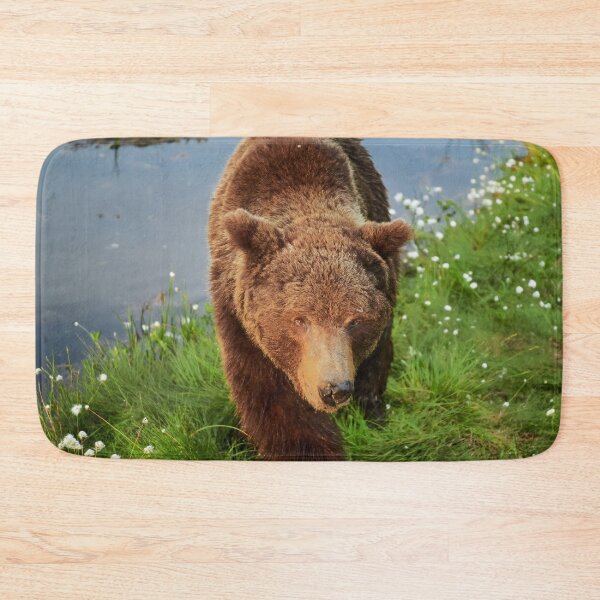Item preview, Getting closer and closer. Brown bear designed and sold by Jouko Lehto Photography.