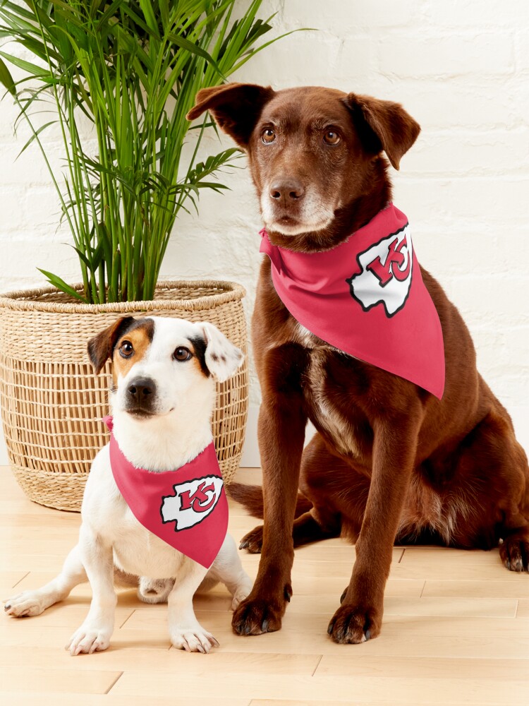 Kansas city chiefs dog 2024 bandana