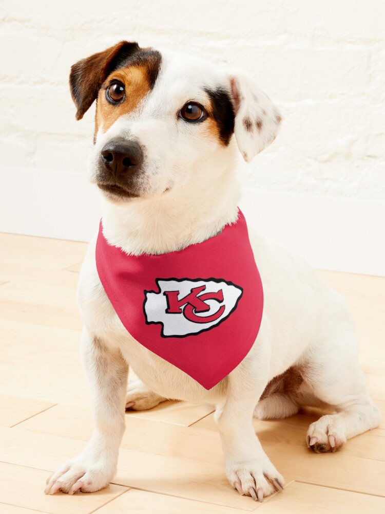 Chiefs dog bandana new arrivals