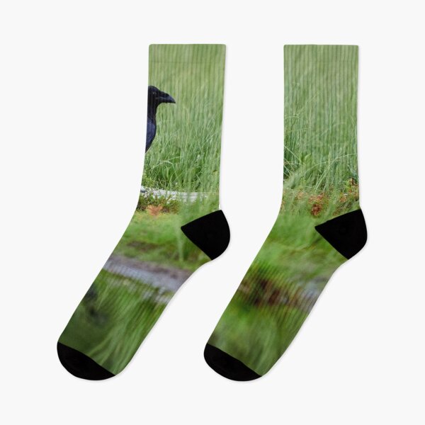Item preview, Walk this way. Raven designed and sold by Jouko Lehto Photography.