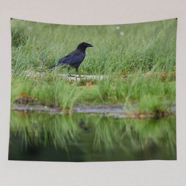 Item preview, Walk this way. Raven designed and sold by Jouko Lehto Photography.