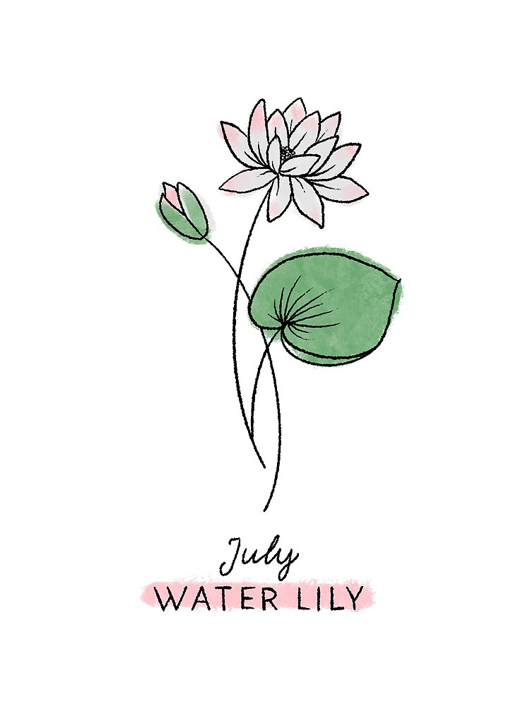Inspirational Flower WATER LILY Drawing by Sipporah Art and Illustration -  Fine Art America