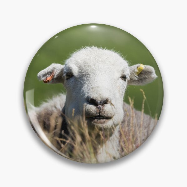 Item preview, Smiley Herdwick designed and sold by Jane Stanley Photography.