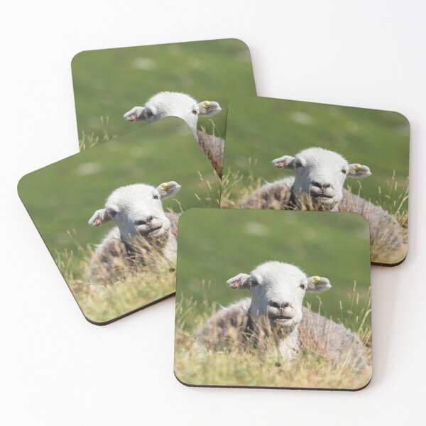 Item preview, Smiley Herdwick designed and sold by Jane Stanley Photography.
