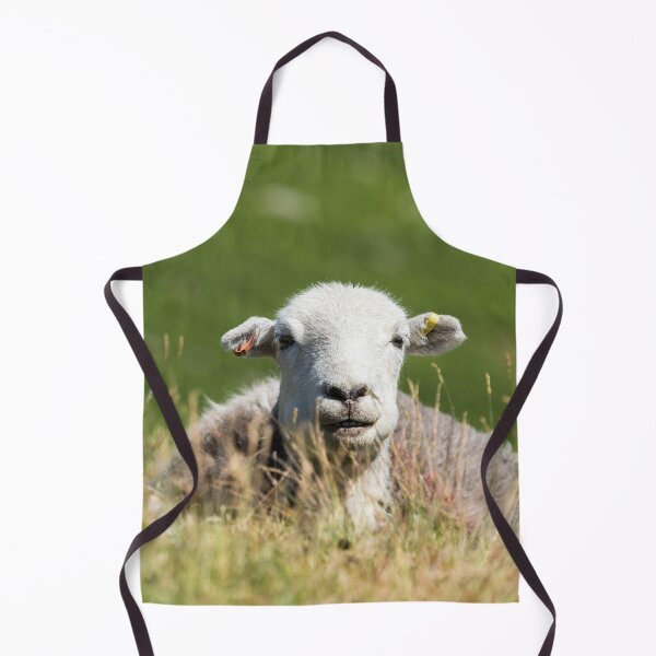 Item preview, Smiley Herdwick designed and sold by Jane Stanley Photography.