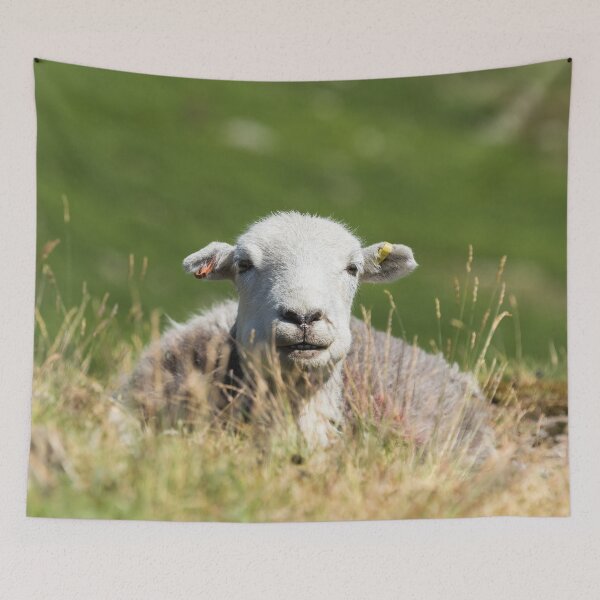 Item preview, Smiley Herdwick designed and sold by Jane Stanley Photography.