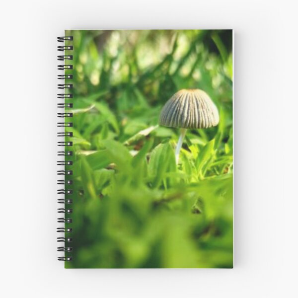 Item preview, Mushroom Hunting designed and sold by aginlow.
