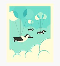 FLOCK OF PENGUINS Photographic Print