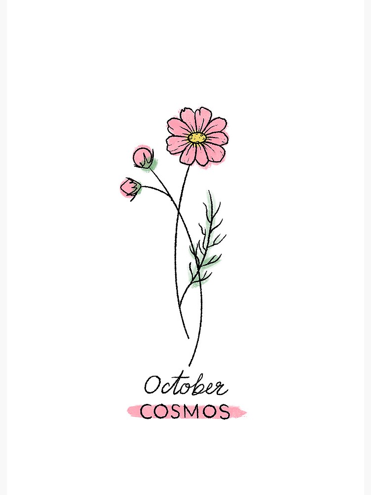 Birth Month Flower | October Cosmos