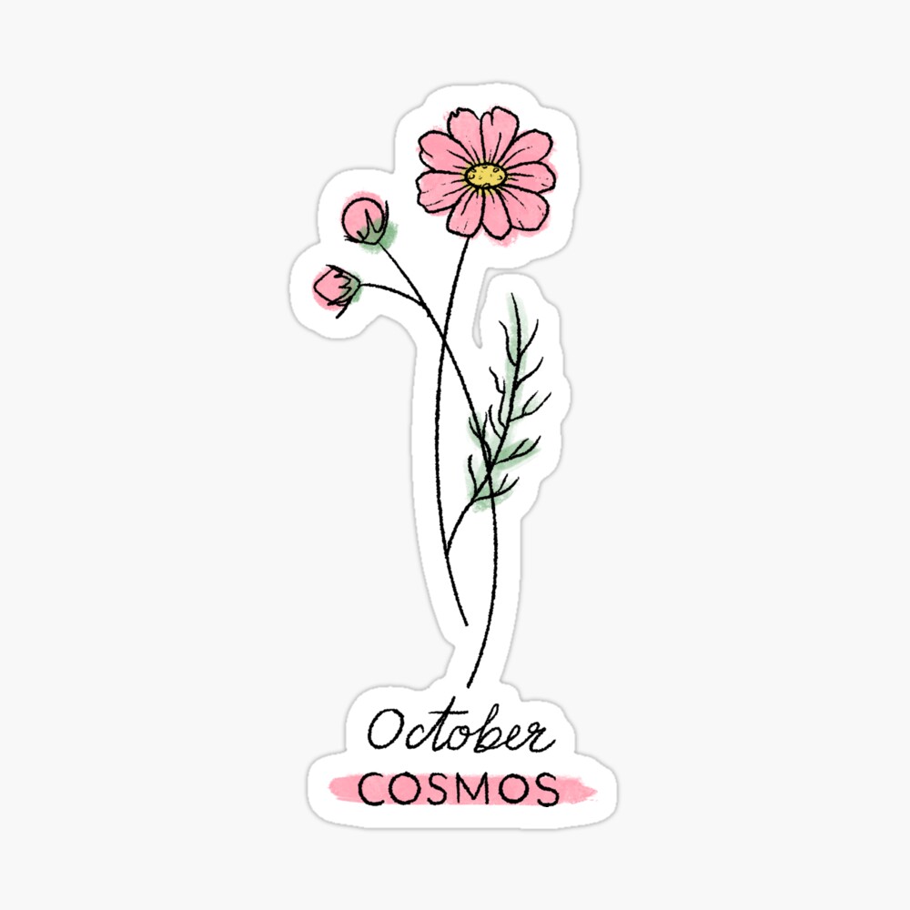 Image result for cosmos flower tattoo An October birth month flower  Cosmos  tattoo Flower tattoo Flower tattoo designs