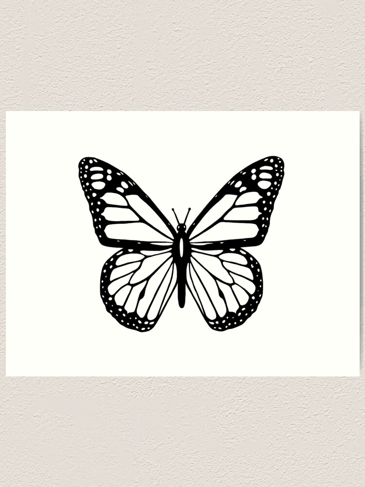 Butterfly Black And White Butterfly Art Print By Tomsredbubble