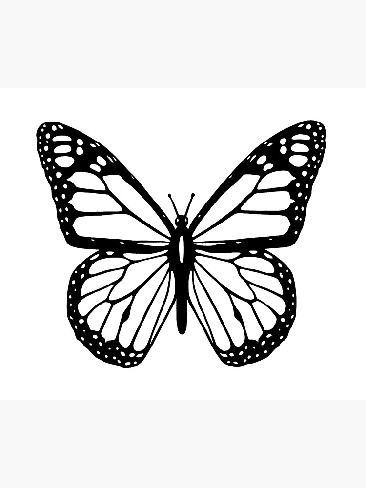 Butterfly Black And White Butterfly Greeting Card By