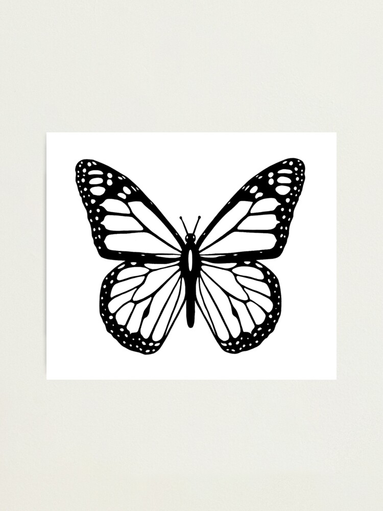 Butterfly Black And White Butterfly Photographic Print By