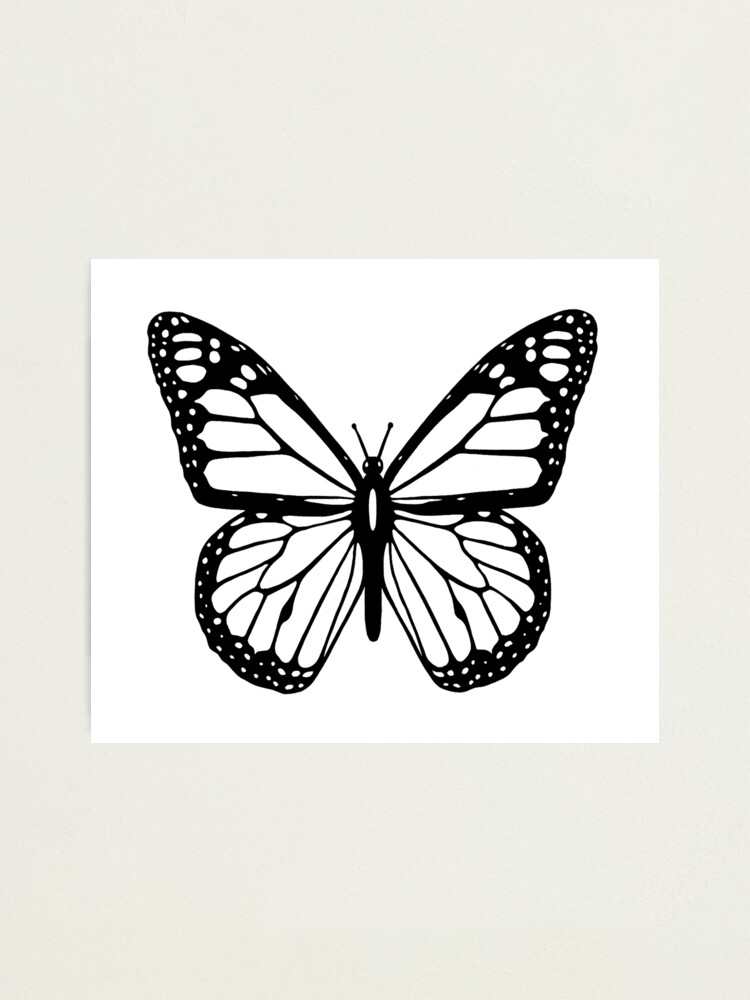  Butterfly  Black and White Butterfly  Photographic Print  