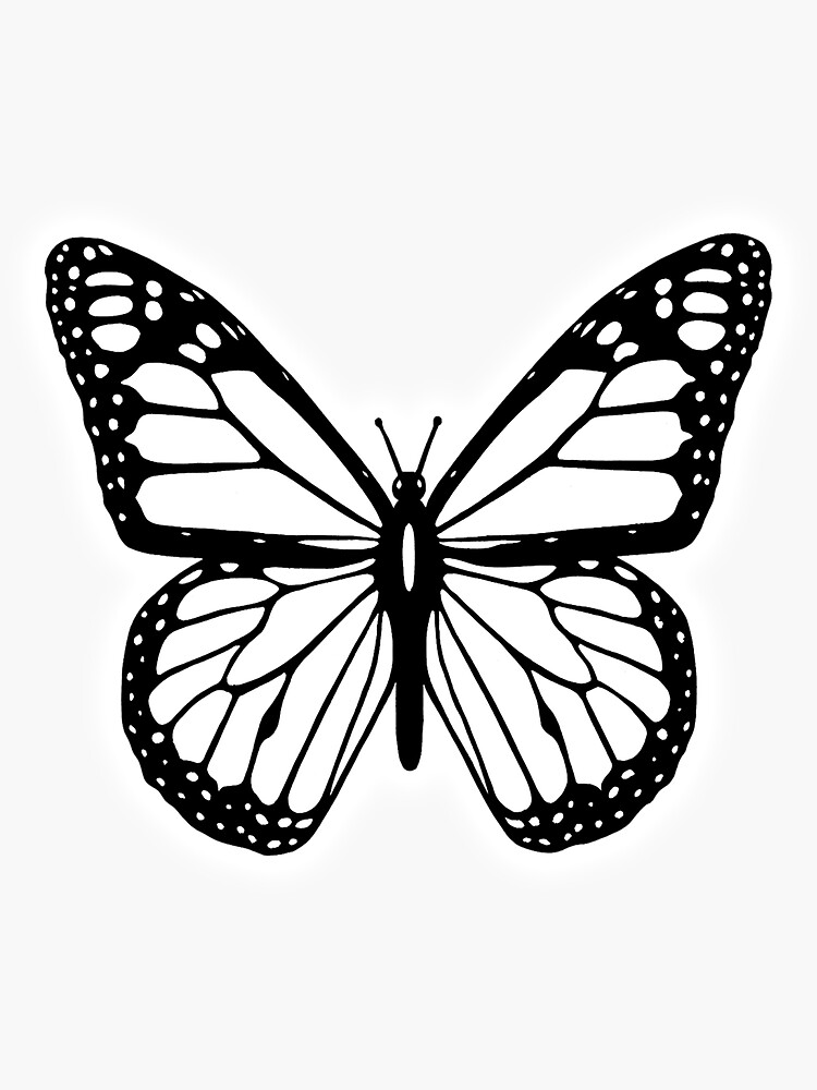 Butterfly, Black and White Butterfly. by TOMSREDBUBBLE
