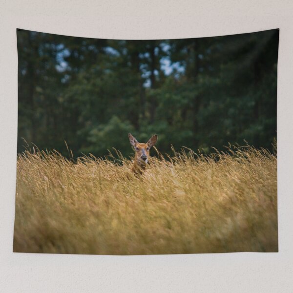 Item preview, Peekaboo designed and sold by akiobsession.