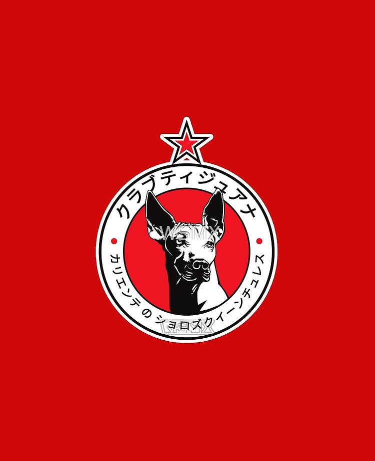 Download wallpapers Club Tijuana FC, 4k, Mexican Football Club, Xolos,  emblem, Tijuana logo, sign, football, Primera Division, Mexico Football  Championships, Tijuana, Mexico, silk flag for desktop with resolution  3840x2400. High Quality HD