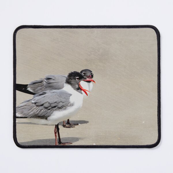 Item preview, Laughing Gull Exaggerated Call designed and sold by Debra Martz.