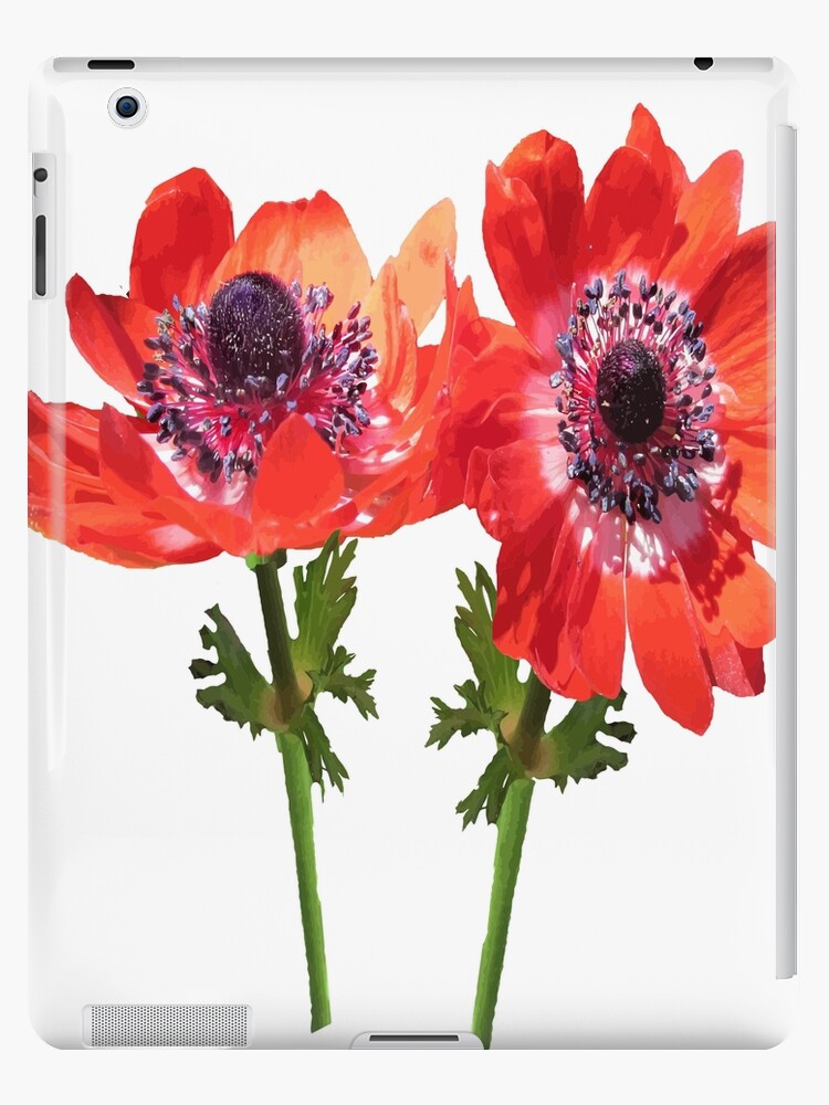 Funda y vinilo para iPad «Arte vectorial de flores silvestres de anémona  roja» de taiche | Redbubble