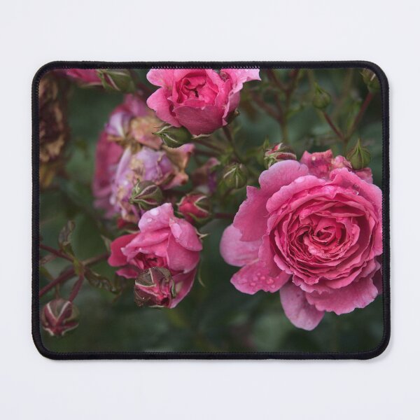Item preview, Rosy designed and sold by Jasardpu.