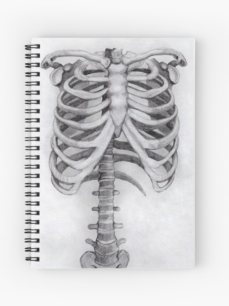 SKELETON DRAWING Notebook 