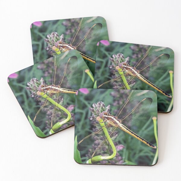 Item preview, Dragonfly designed and sold by searchlight.