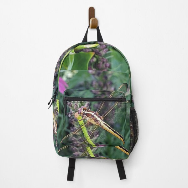 Item preview, Dragonfly designed and sold by searchlight.