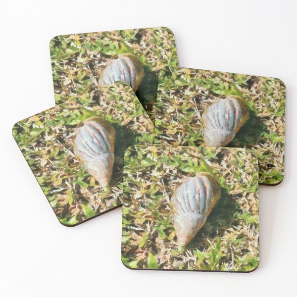 Item preview, Shell on a beach designed and sold by ashishagarwal74.