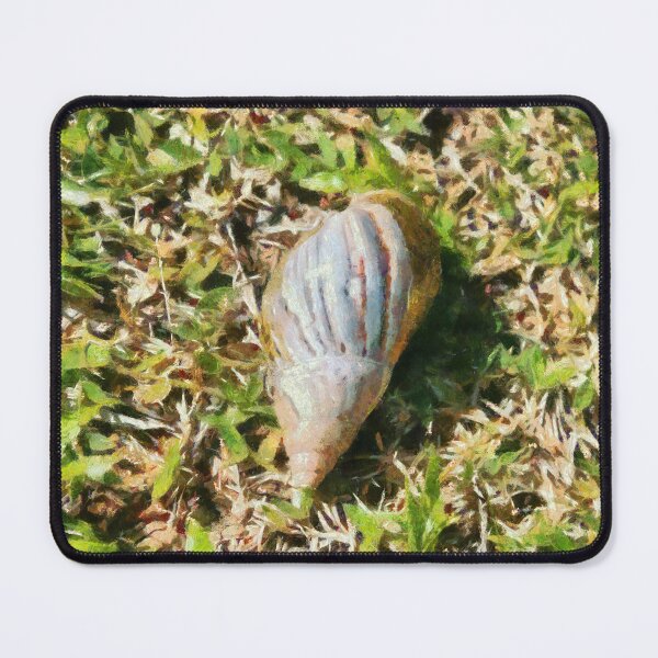 Item preview, Shell on a beach designed and sold by ashishagarwal74.