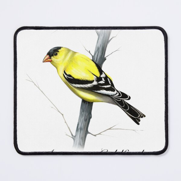 Item preview, American Goldfinch designed and sold by jessicaanderson.