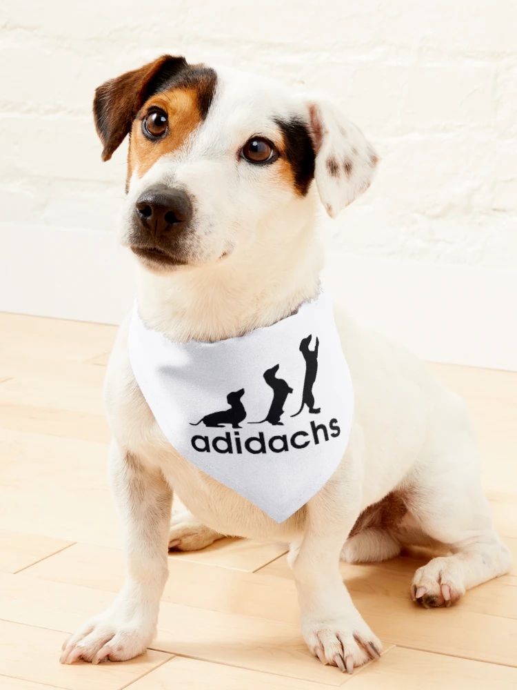 Adidas k9 best sale