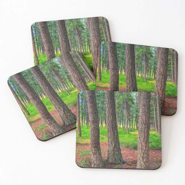 Item preview, Douglas Fir Forest Trees Fountain Lake British Columbia designed and sold by Kevin Miller Photography.